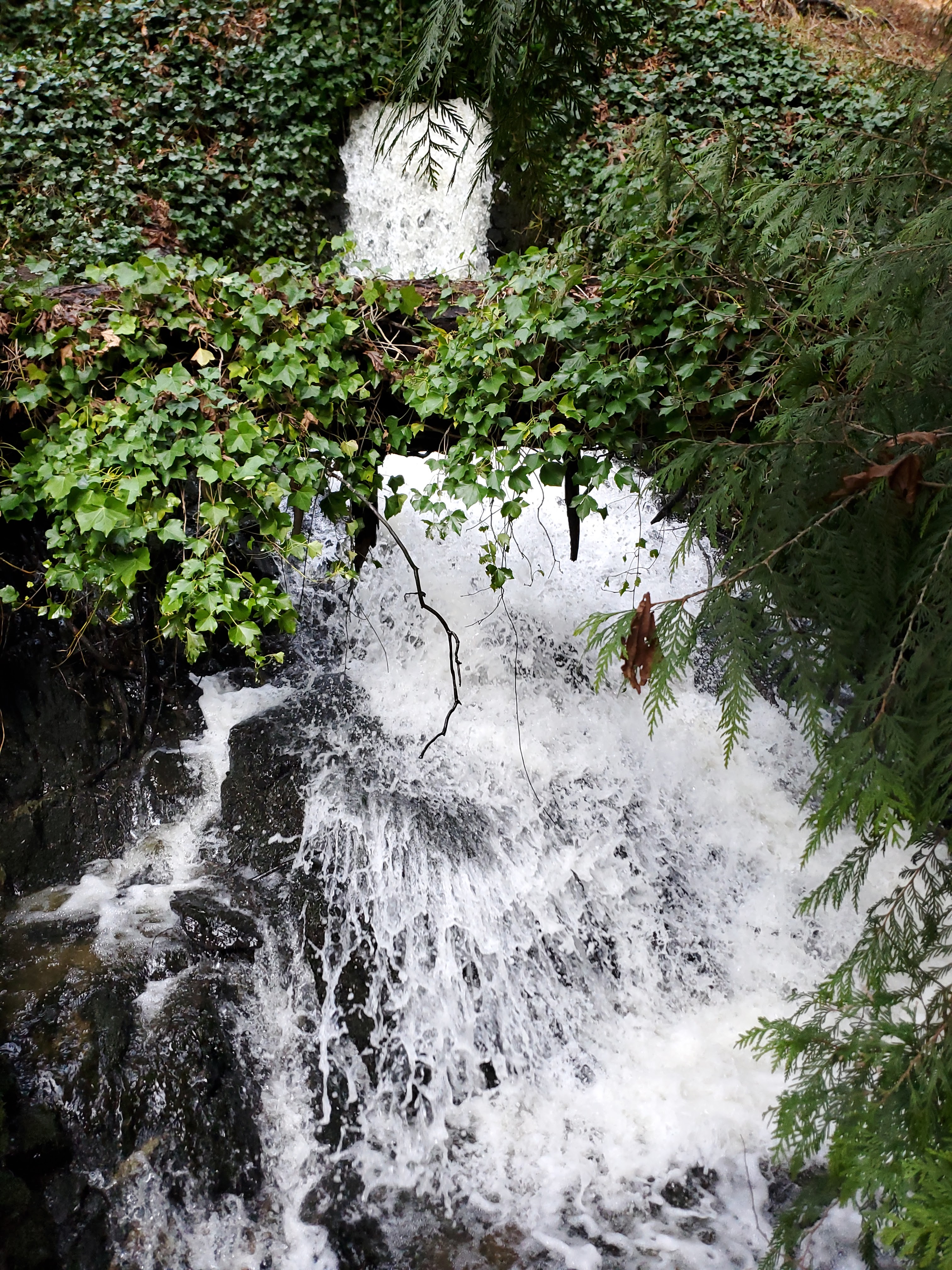 Actualize Personal Training, Victoria BC, Personal Trainer #ActualizePT