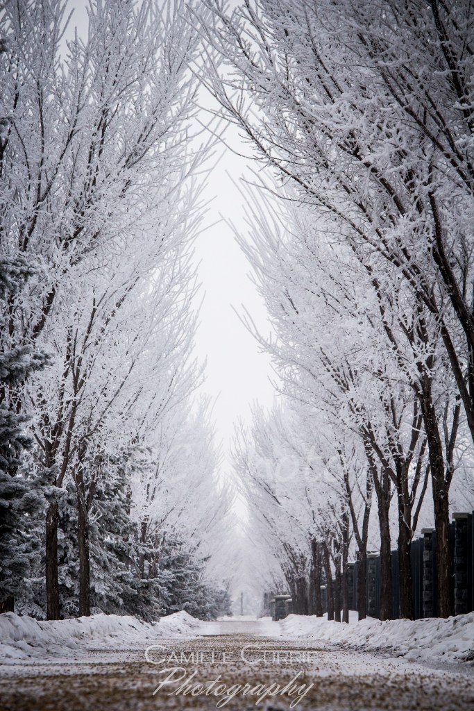 #ActualizePT #CCPhoto Actualize personal Training Camille Currie Photography